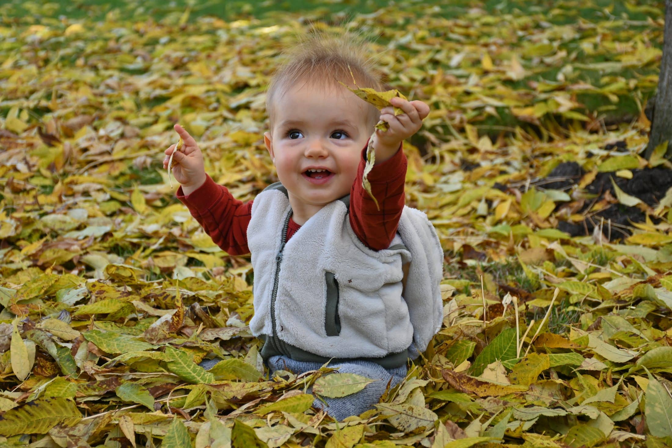 Capture those precious moments