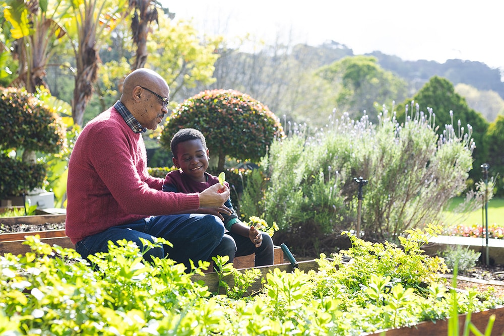 Spring Activities That Encourage Faith in Your Grandchildren